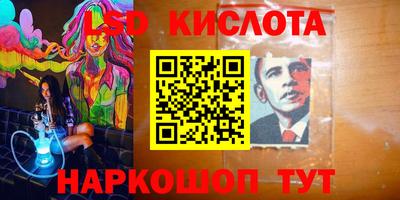 стаф Лесосибирск