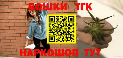 стаф Лесосибирск