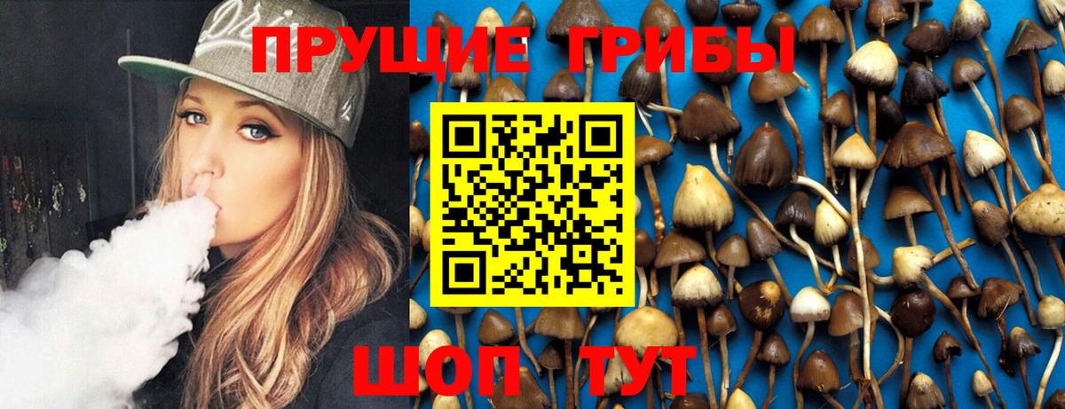 Дзержинский  Галлюциногенные грибы мицелий  Вход с VPN  Псилоцибиновые грибы Cubensis 